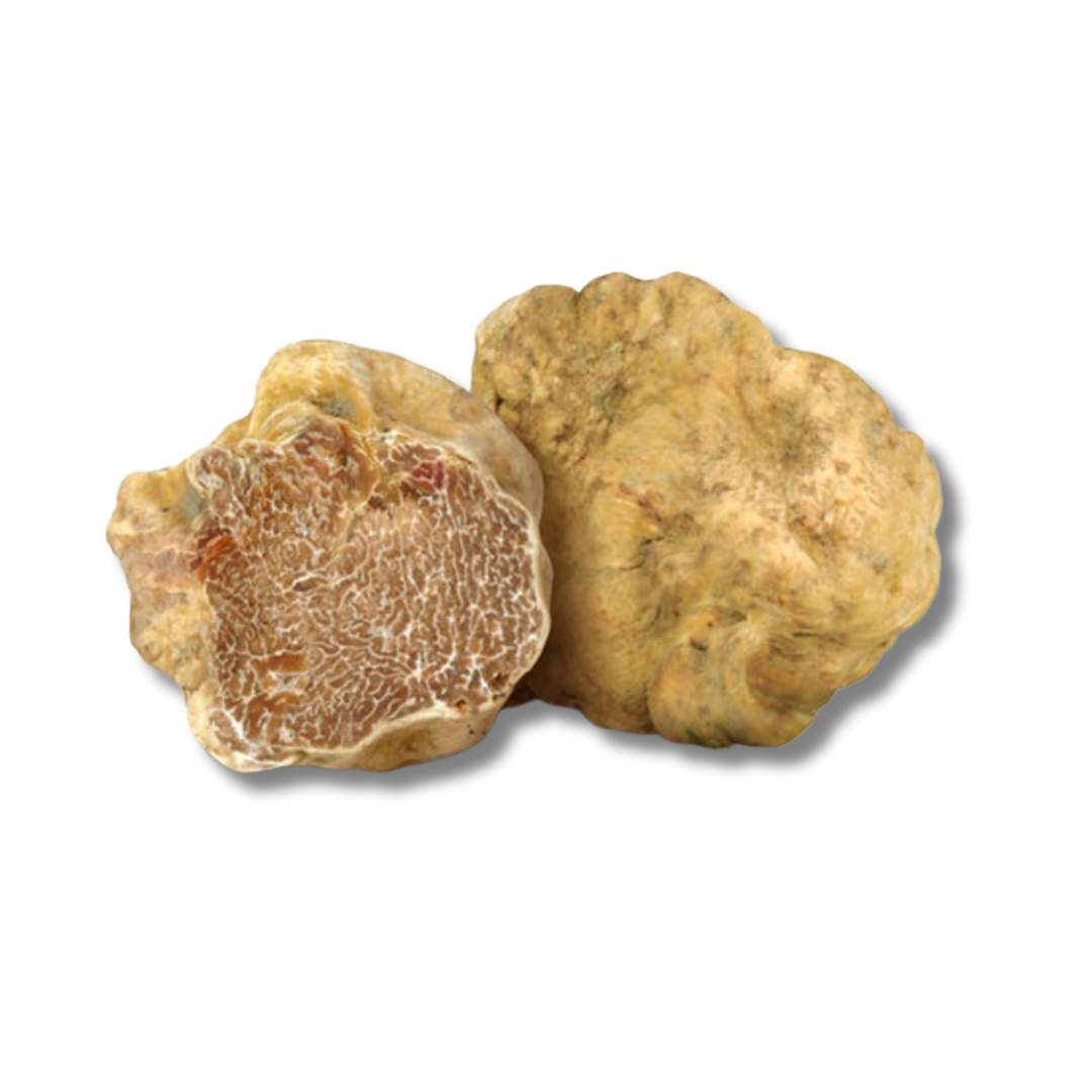TARTUFO BIANCO PREGIATO - Laura Perla